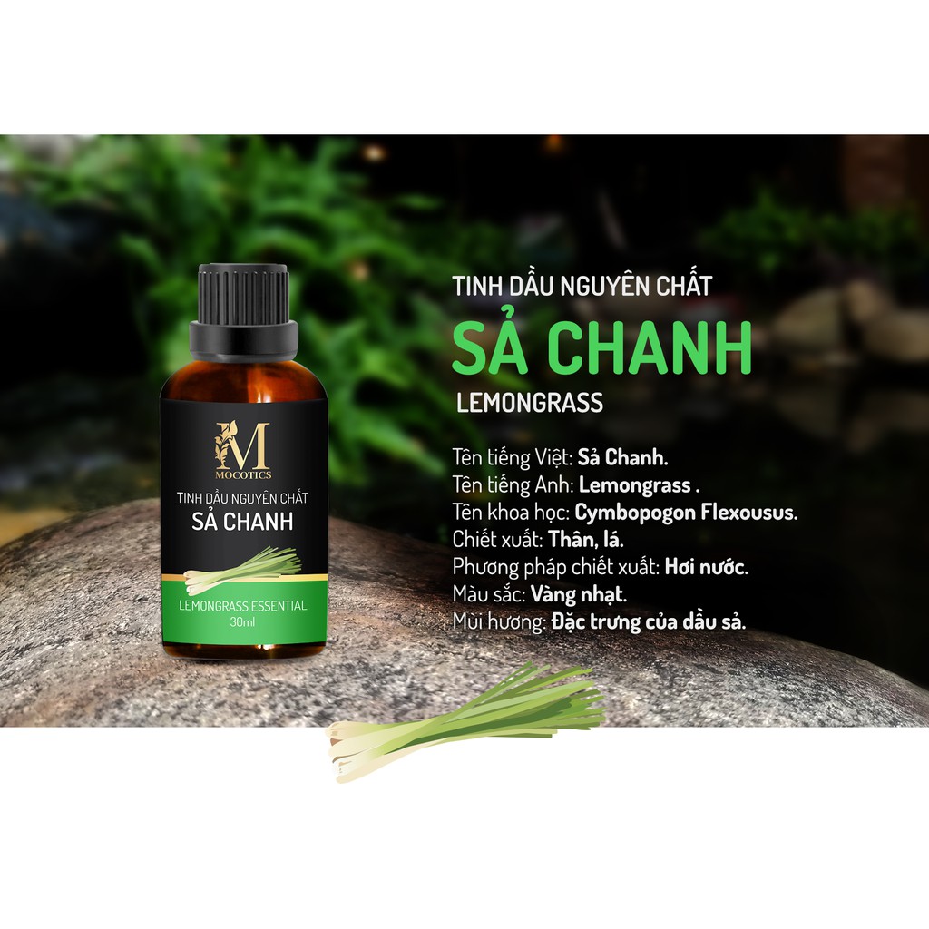 Tinh Dầu Sả Chanh Mocotics Chai 30ML | 100% Thiên Nhiên Nguyên Chất | Xông Thơm Phòng | Tặng lọ treo tinh dầu treo xe