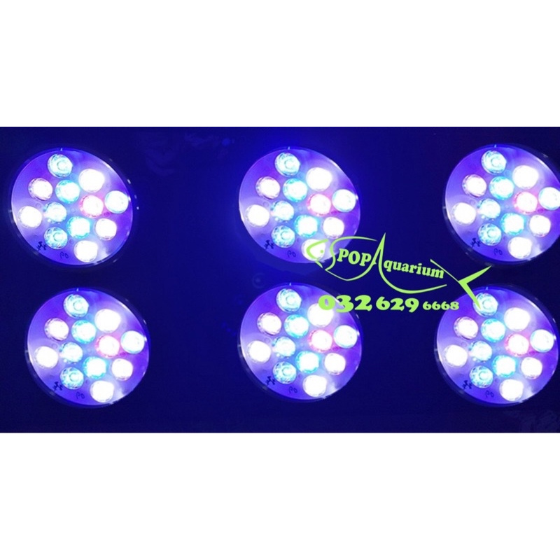 ĐÈN LED XIMA PA450 cho bể cá biển