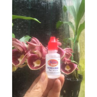 Siêu phẩm kích keiki phong lan Keiki Super PRO (bôi, tiêm)