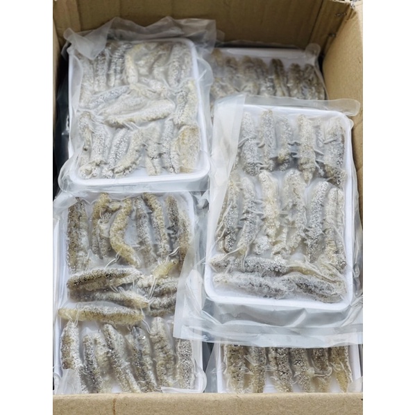 Hải Sâm gai  - Giá sỉ rẻ nhất