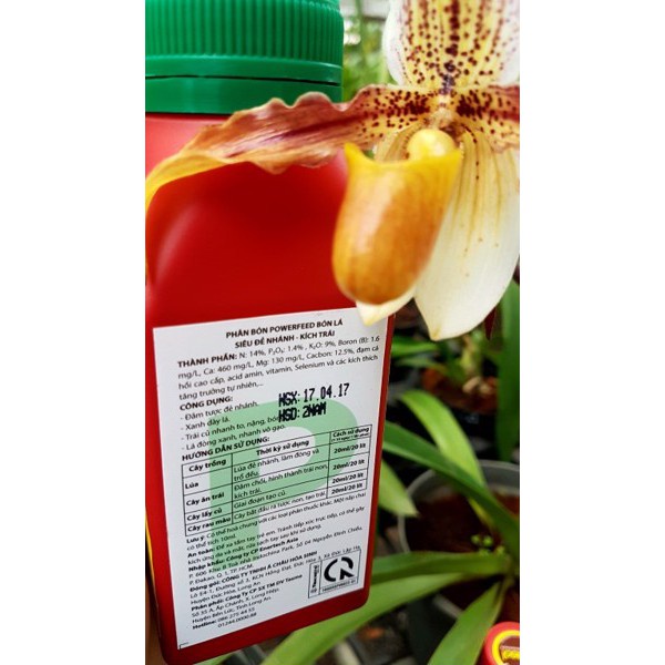 Phân Cá PowerFeed 250ml - SIÊU ĐẺ NHÁNH - CÓ NƯỚC