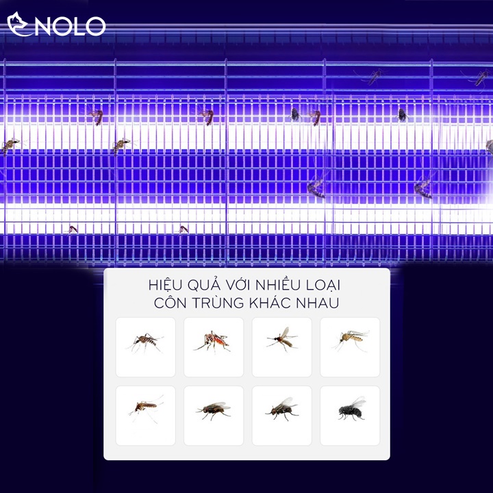 Đèn Diệt Ruồi Muỗi Kiến Cánh Côn Trùng Gây Hại Kill Pest Model LK30 Công Suất 30W Dùng Nguồn Điện AC 220V