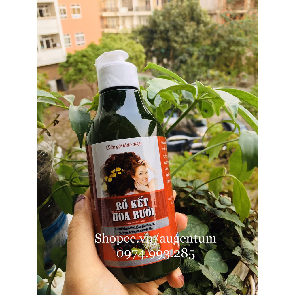 Thảo dược gội đầu Bồ kết Hoa bưởi | BigBuy360 - bigbuy360.vn