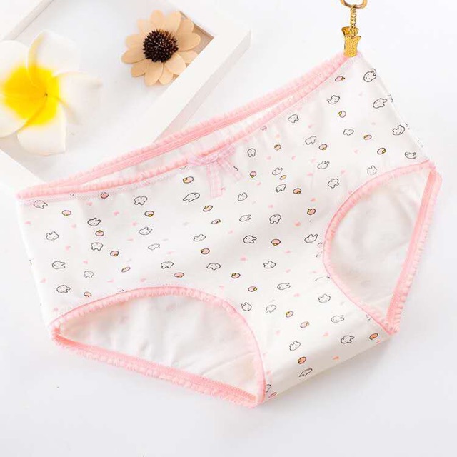 quần lót cute chất cottton (set 5)