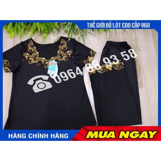 Bộ quần áo nữ mặc nhà, cộc tay quần dài thun lạnh Paltal 13110