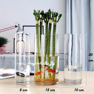 Bình Bông Lọ Hoa Thủy Tinh D8XH30Cm - Bình Hoa Trụ Tròn