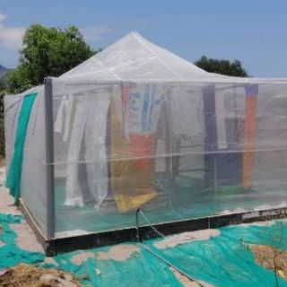 Lồng nuôi cào cào 5x4x2