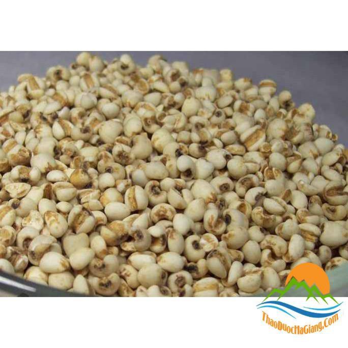 200g Hạt ý dĩ (Hạt bo bo) Bồi bổ sức khỏe cho người già, trẻ em, lợi sữa cho phụ nữ sau sinh