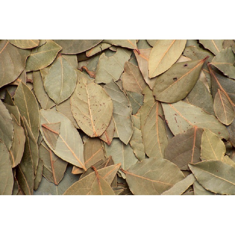 Lá mùi khô Bay Leaf 15gr - lá nguyệt quế khô
