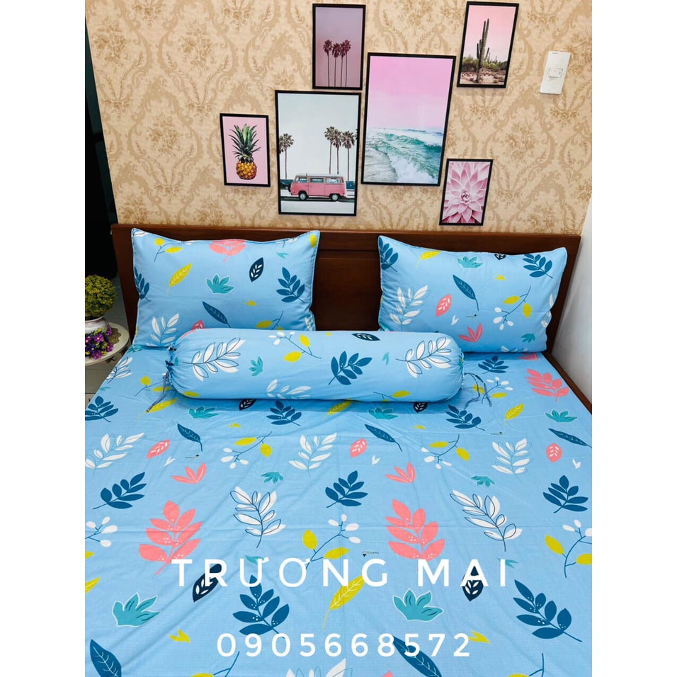 Bộ ga giường Thắng Lợi 100% coton cao cấp