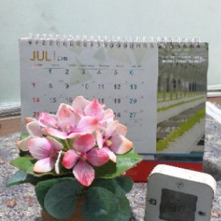 Hoa Cẩm Tú Cầu trang trí bằng đất sét