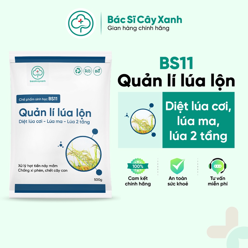 Chế phẩm xử lý lúa lộn, lúa cỏ, lúa 2 tầng, chống xì phèn, chết cây con BS11 Quản lý lúa lộn 500g NSX Bacsicayxanh