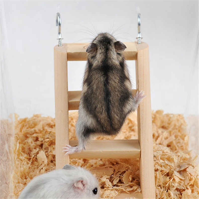 Đồ chơi thang leo có móc treo làm từ gỗ sáng tạo cho chuột hamster/sóc/chuột hamster