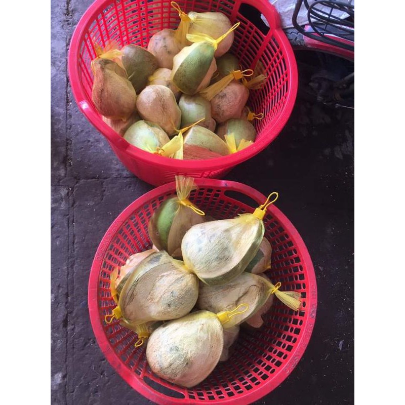 Combo 2 sáp đặc bi lớn 700g