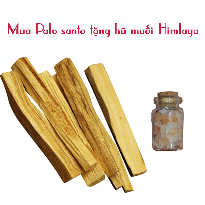 💥Gỗ Palo Santo - Nụ Palo Santo - Nhang Gỗ trắc xanh thanh tẩy nhà cửa