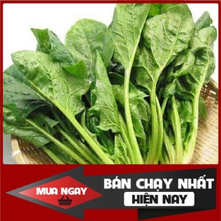[ Big Sale ] 2000H - Hạt giống cải bó xôi nếp (rau bina, rau chân vịt) -15gr