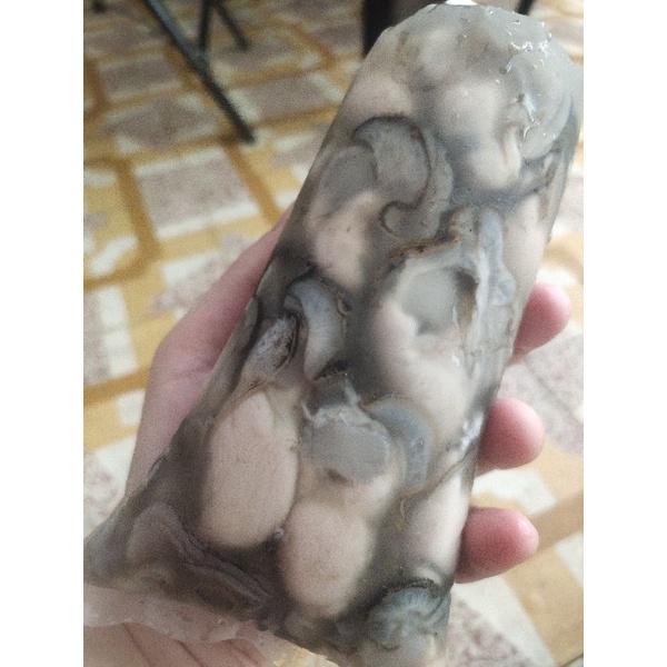 1KG HÀU SỮA PHÚ QUỐC THIÊN NHIÊN