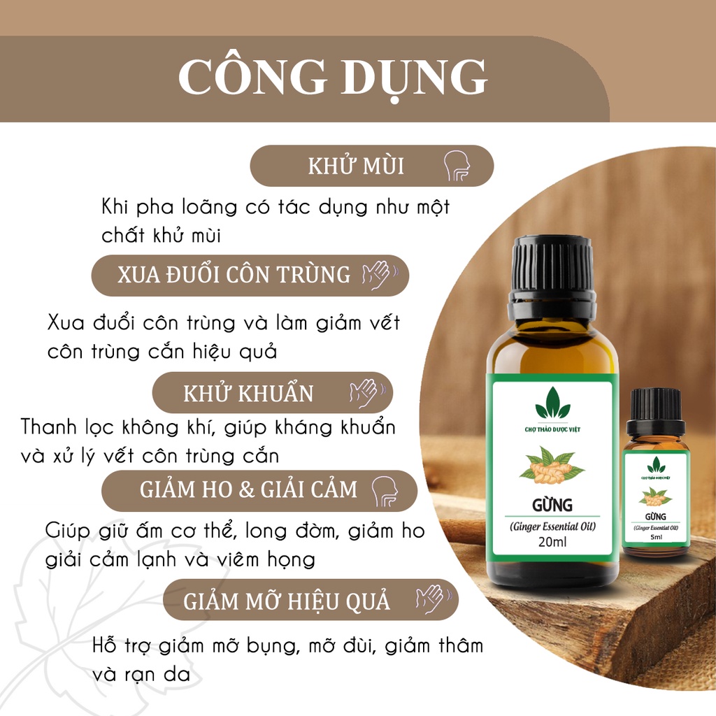 Tinh dầu Gừng nguyên chất 20ml, massage giảm mỡ bụng, đùi, bắp tay, bắp chân hiệu quả - Chợ Thảo Dược Việt