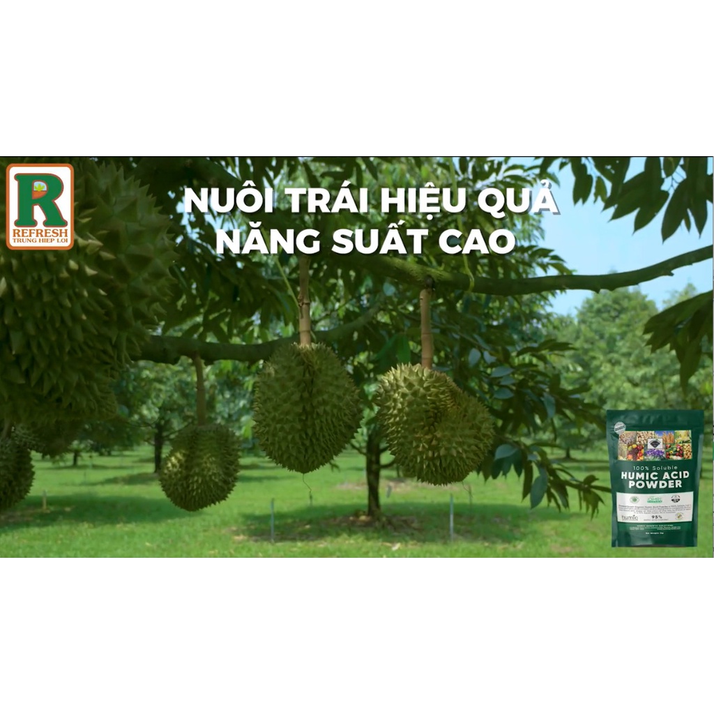 Phân bón Humic Acid Powder nhập khẩu Mỹ 1Kg tặng kèm chai Siêu Ra rễ 150gr