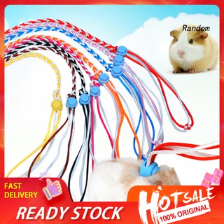 Dây Dắt Chuột Hamster Đi Dạo 1.4 / 2m Tùy Chỉnh Tiện Dụng