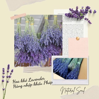Hoa Khô Lavender Pháp ❤️ Hàng Nhập Khẩu ❤️ Giá Tốt Nhất Shopee - Natural Soul