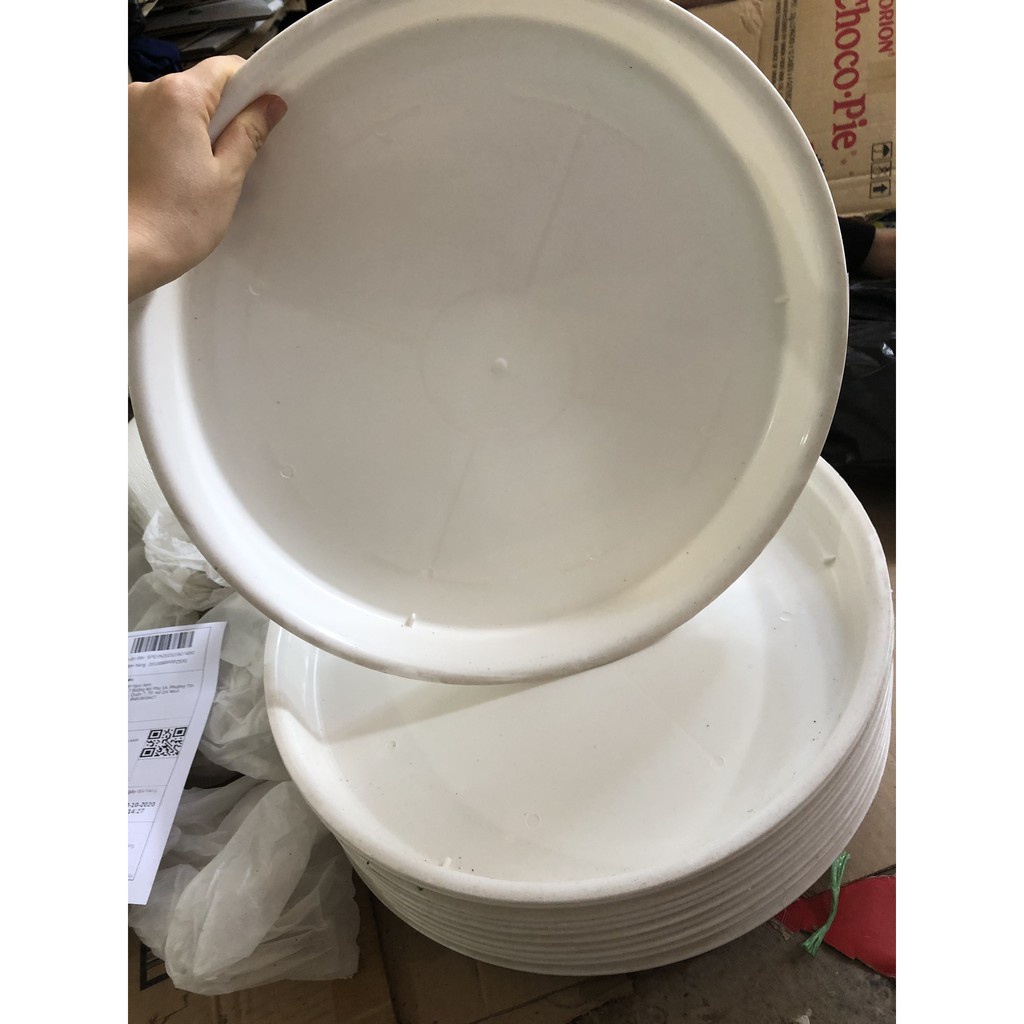 Đĩa lót chậu cây cảnh Các loại TÙY CHỌN