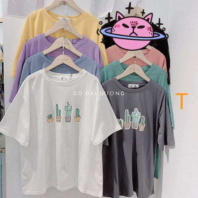 Áo 4 chậu sương rồng mới tici TTV654