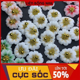 hoa bột nail- hướng dương