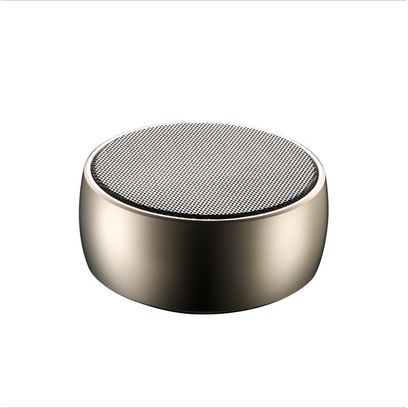 Loa Bluetooth Cầm Tay BS02 - Kèm Móc - Vỏ Nhôm [BS02 Màu Ngẫu Nhiên]