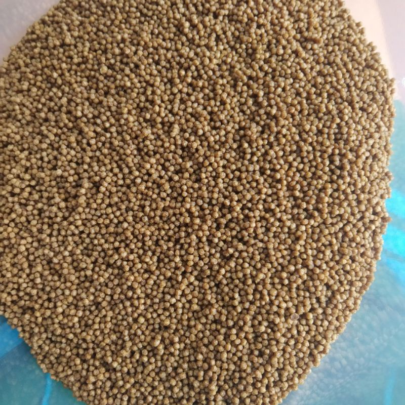 1kg cám cá (Hạt 1mm độ đạm 40% ) American feeds Mỹ, Thức ăn cá Koi, cá vàng siêu chuẩn