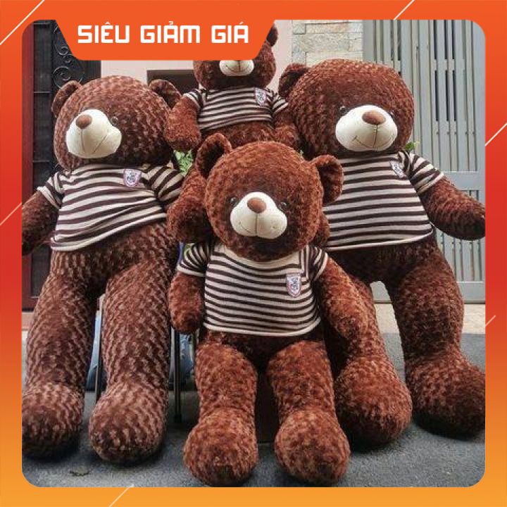 [ẢNH THẬT TỰ CHỤP] Gấu Teddy Nhồi Bông Mềm Siêu Dễ Thương, Đáng Yêu Ôm Bao Phê Kích Thước 95cm và 1m1