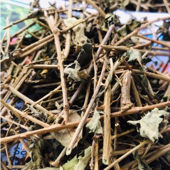 Cà Gai Leo Hàng Loại 1 [ Cam Kết Xạch Thơm Mới ] Bảo vệ lá gan của bạn hàng ngày hiệu quả 1KG