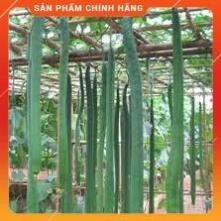 HẠT GIỐNG MƯỚP RẮN Gói 5H