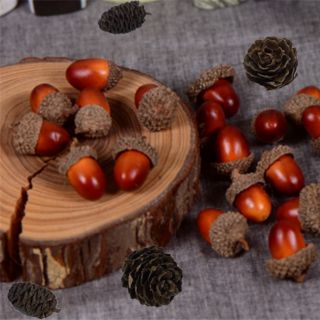 Phụ kiện chụp ảnh Hạt sồi