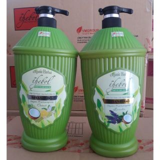 DẦU GỘI DƯỢC LIỆU SẠCH HỮU CƠ TRỊ RỤNG TÓC THEBOL 1,6KG