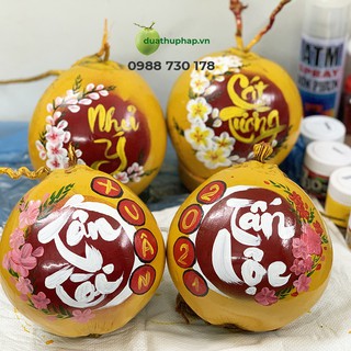 Dụng cụ vẽ dừa thư pháp chưng tết - Combo 2