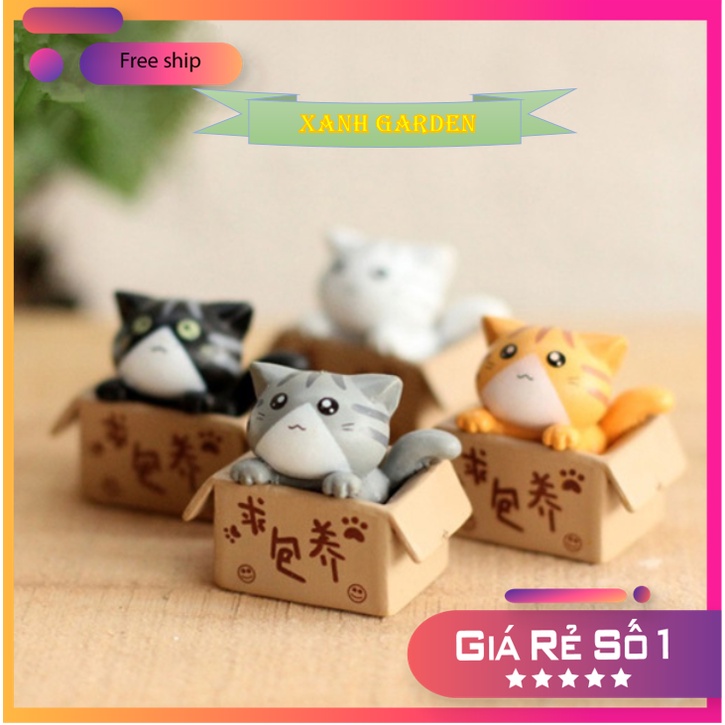 Tượng trang trí tiểu cảnh mèo trong hộp, tiểu cảnh sen đá, tiểu cảnh để bàn, tiểu cảnh mini,phụ kiện tiểu cảnh terrarium