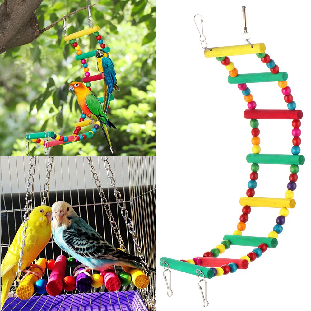 Bộ đồ chơi xích đu / quả cầu / võng treo lồng chim vẹt xám Úc/ vẹt yến phụng