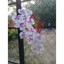 Vỉ treo hoa tường