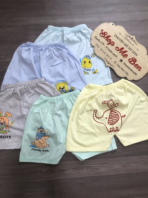 Quần đùi Mông thú Cater chất đẹp 100% cotton thấm hút mồi hôi