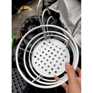 Combo giỏ hoa treo ban công