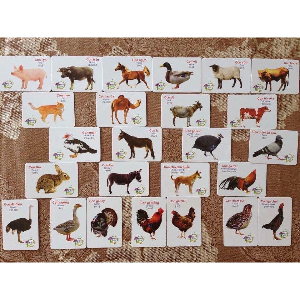 Bộ Thẻ Học Thông Minh Flashcards 16 Chủ Đề 416 Thẻ Học Song Ngữ Anh-Việt Cho Bé