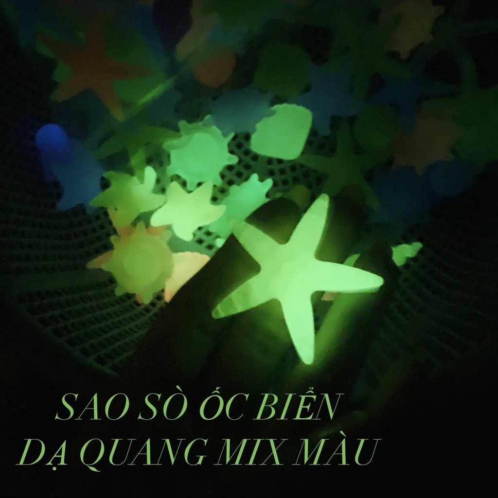 Sỏi Phát Quang Sao,Ốc, Sò Biển  Trang Trí Hồ Cá, Sân Vườn...