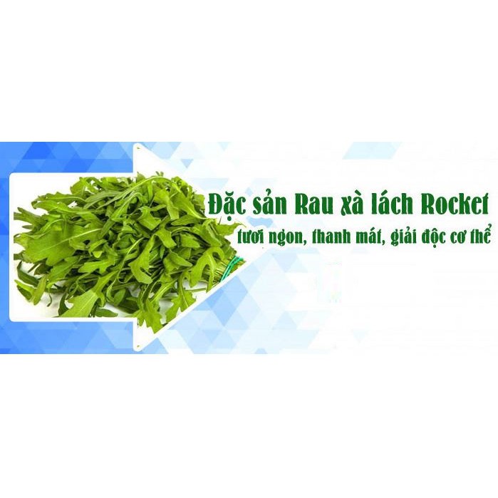 HẠT GIỐNG XÀ LÁCH ROCKET - GÓI 2 GRAM