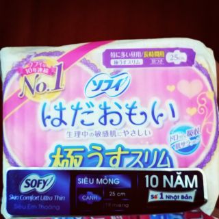 2 gói BVS Sofy cánh loại 19 miếng/1 gói