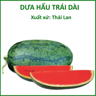Hạt Giống Dưa Hấu Trái Dài Lai F1 - Xuất xứ Thái Lan (2g)