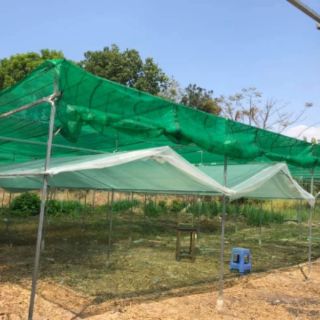 BẠC NILON CHE MƯA LOẠI TỐT DÀY
