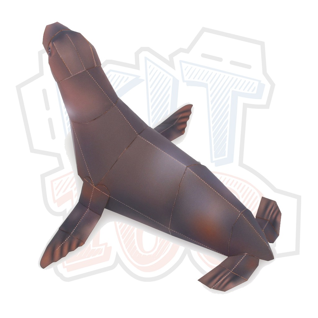 Mô hình giấy động vật Hải cẩu ver 2