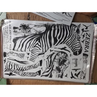 decal ngựa vằn