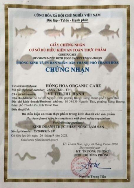 Ngũ cốc dành cho người tiểu đường | BigBuy360 - bigbuy360.vn